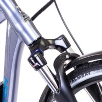 Raleigh Captus Cross Bar Titanium Electric Bike - Image 2