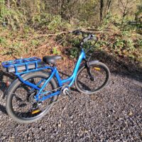 Ex Demo RooDog Chic Step Through Electric Bike - Electric Blue - Image 2