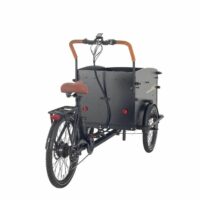 Aitour Electric Cargo Bike Starter - Black - Image 2