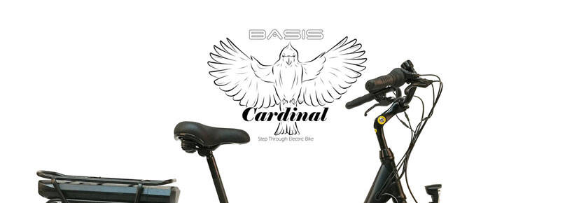 Basis Cardinal Rigid Electric Bike at E-Bikes Direct