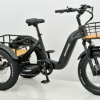 electric trike