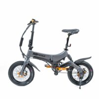 Folding Electric Bike