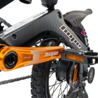 Folding Electric Bike