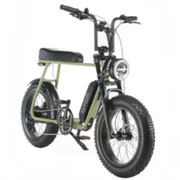 Synch Super Monkey 250Wh Fat Wheel Electric Bike - Army Green - Image 2