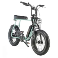 Synch Super Monkey 250Wh Fat Wheel Electric Bike - Mint - Image 2