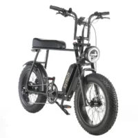 Synch Super Monkey 250Wh Fat Wheel Electric Bike - Black - Image 2